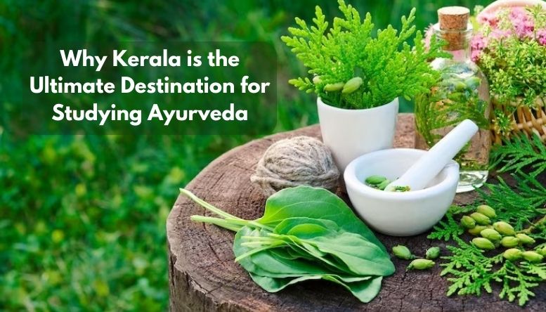 Why Kerala is the Ultimate Destination for Studying Ayurveda