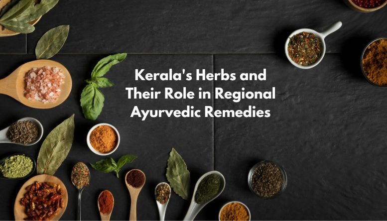Kerala's Herbs and Their Role in Regional Ayurvedic Remedies