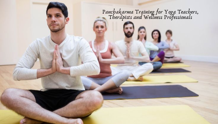 Panchakarma Training for Yoga Teachers, Therapists and Wellness Professionals