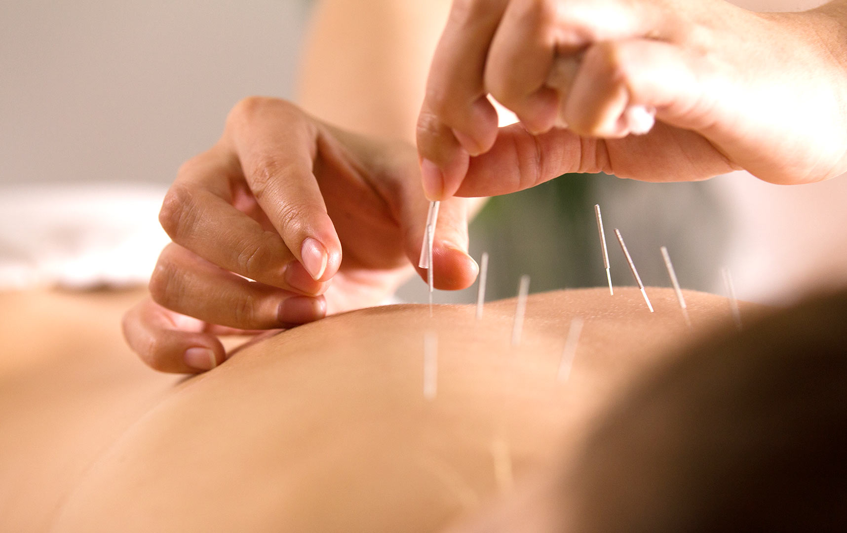 SCHOOL OF AYURVEDA & PANCHAKARMA